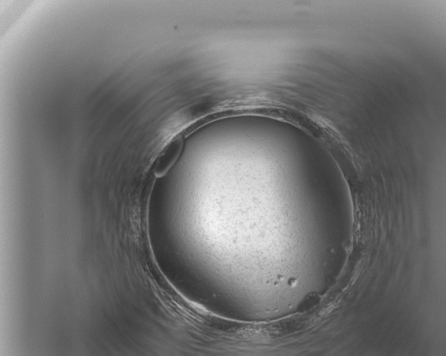 X0000059801457200510281626