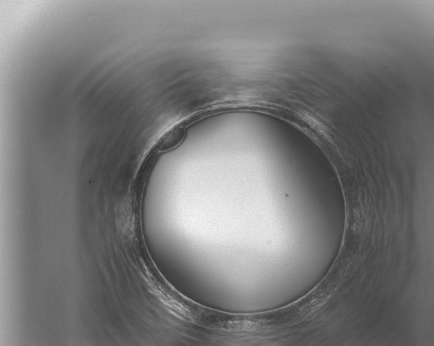 X0000059801458200510281626