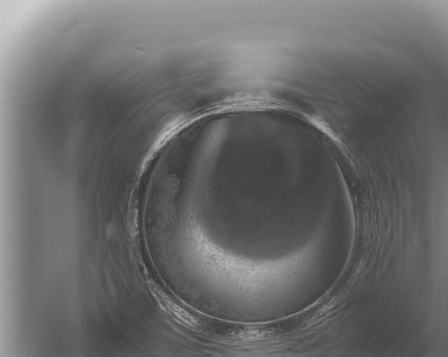 X0000059801459200510281626