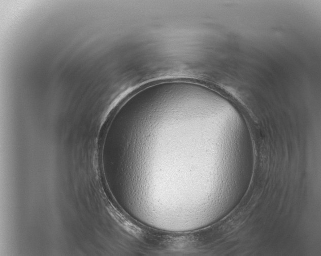 X0000059801460200510281626