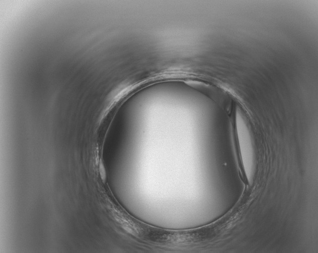 X0000059801461200510281626