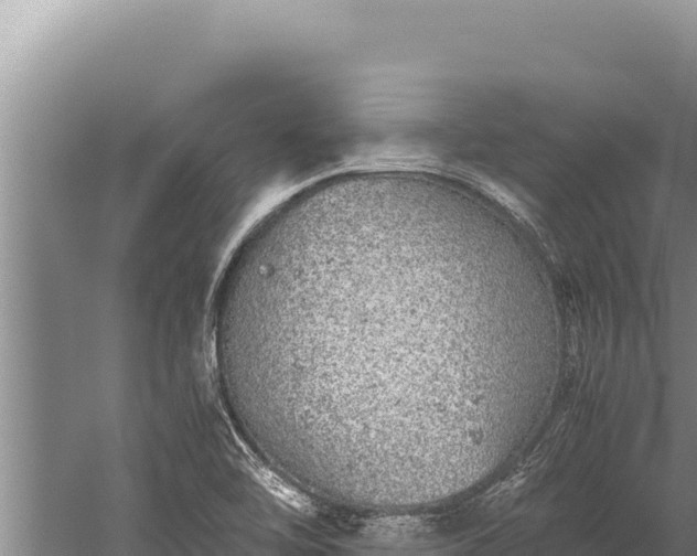 X0000059801462200510281626