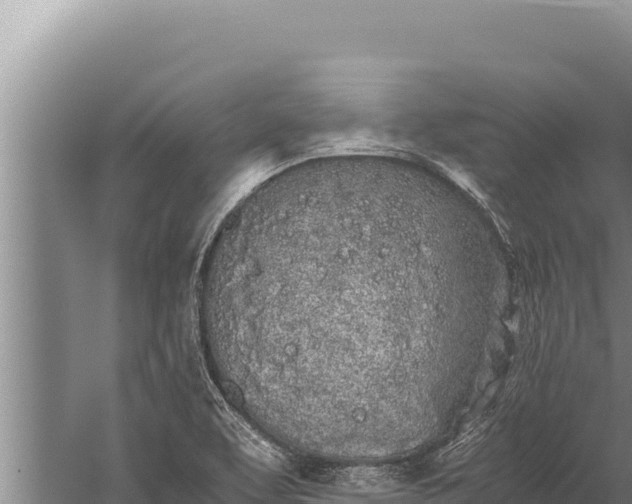 X0000059801463200510281626