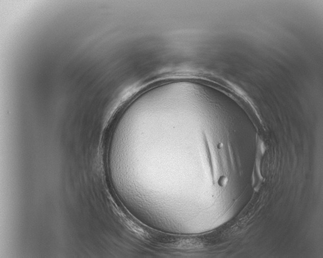 X0000059801464200510281626