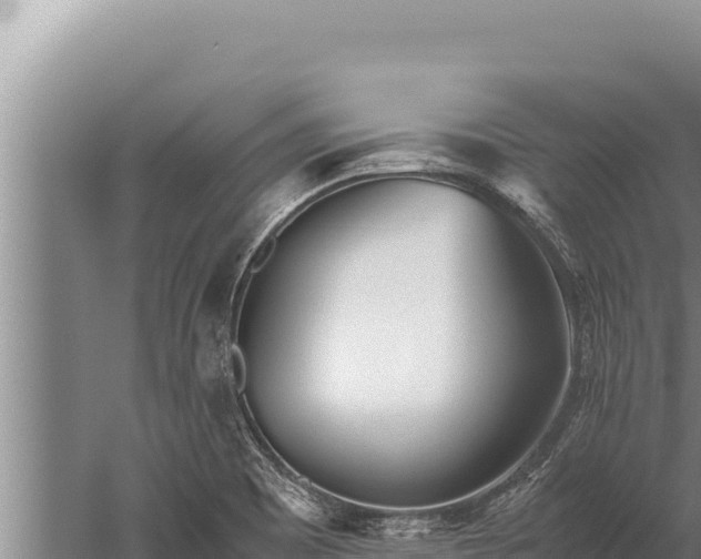 X0000059801465200510281626