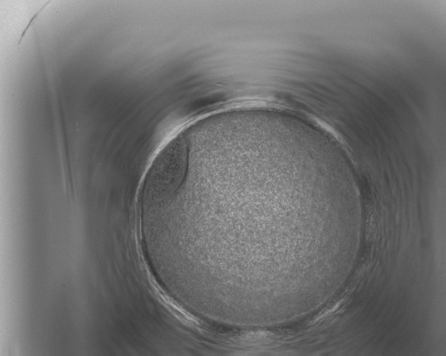 X0000059801467200510281626