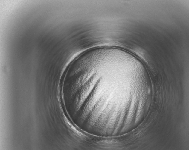 X0000059801468200510281626