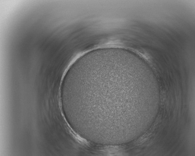 X0000059801470200510281626