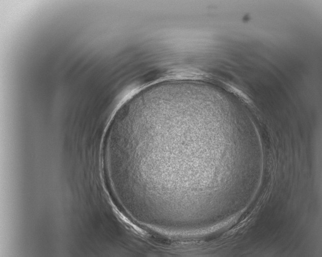 X0000059801471200510281626