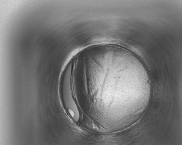 X0000059801472200510281626