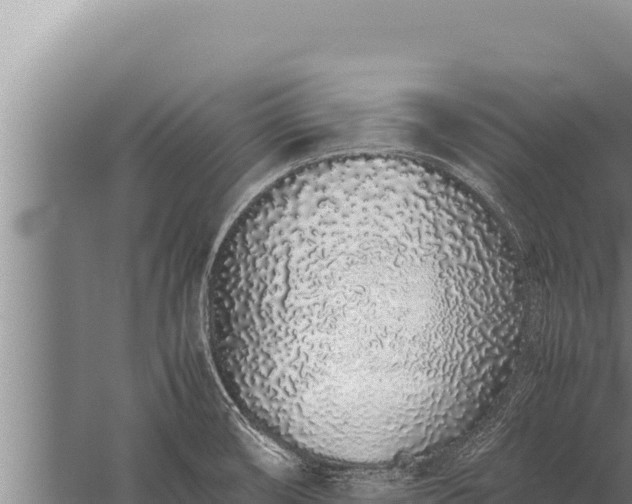 X0000059801474200510281626