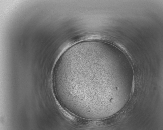 X0000059801475200510281626