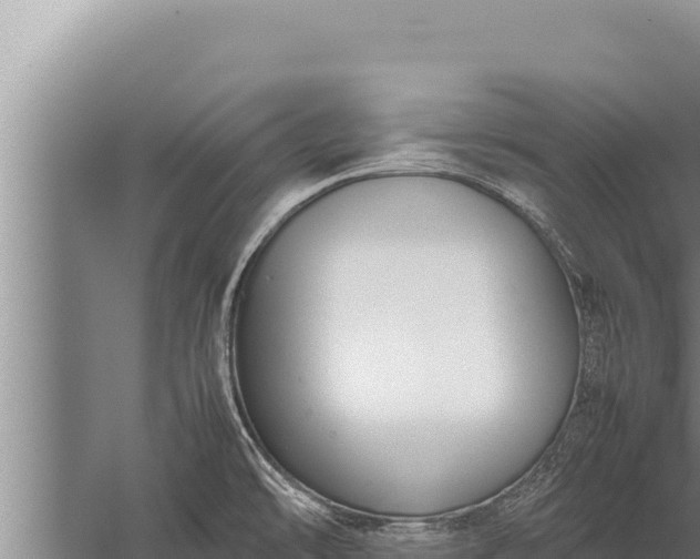 X0000059801478200510281626