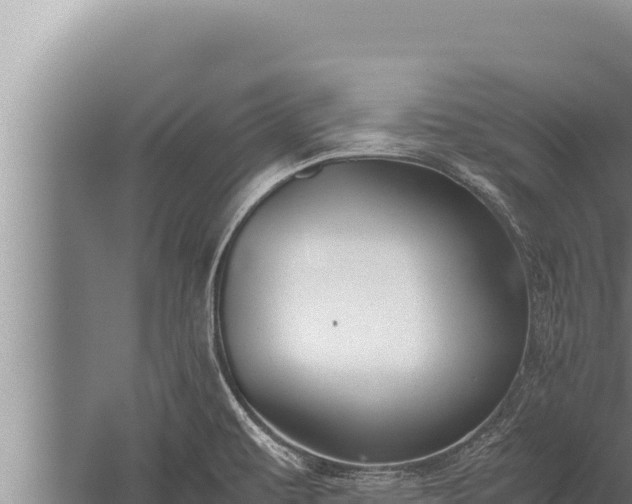 X0000059801479200510281626