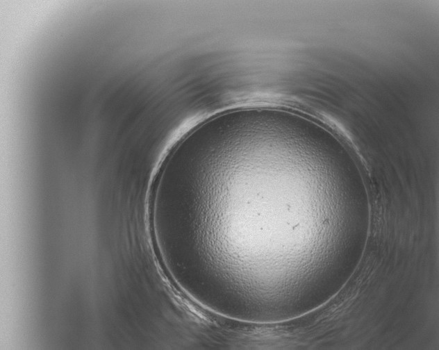 X0000059801480200510281626