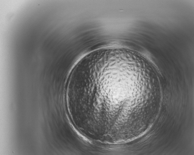 X0000059801484200510281625