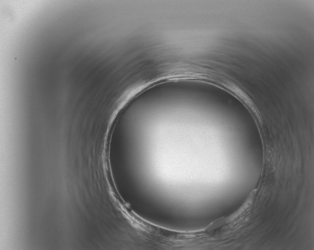 X0000059801485200510281625