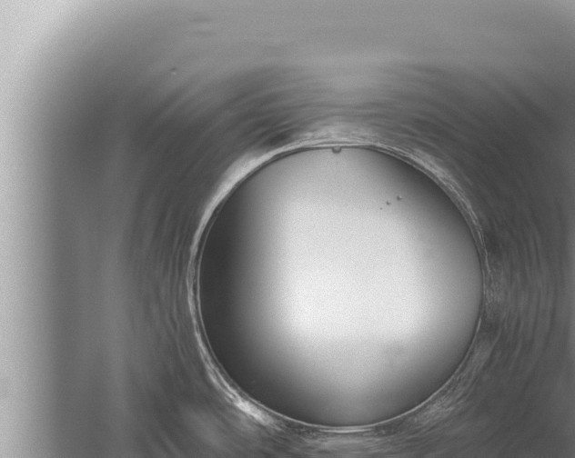 X0000059801486200510281625