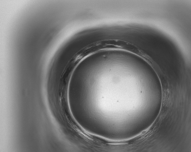 X0000059801487200510281625