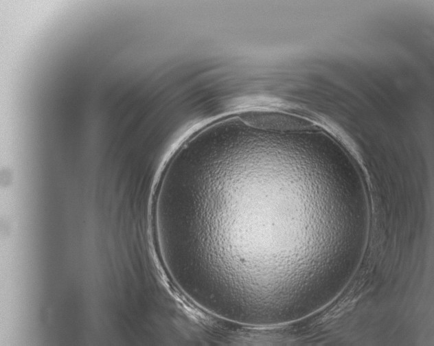 X0000059801488200510281625