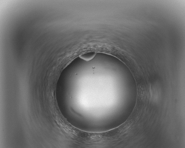 X0000059801489200510281625