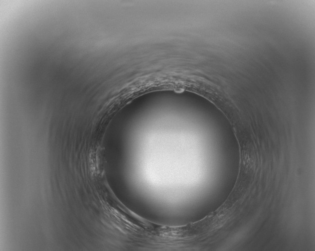 X0000059801490200510281625