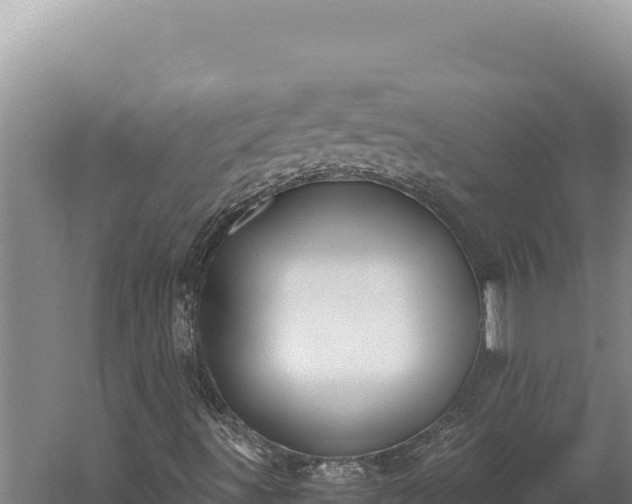 X0000059801491200510281625