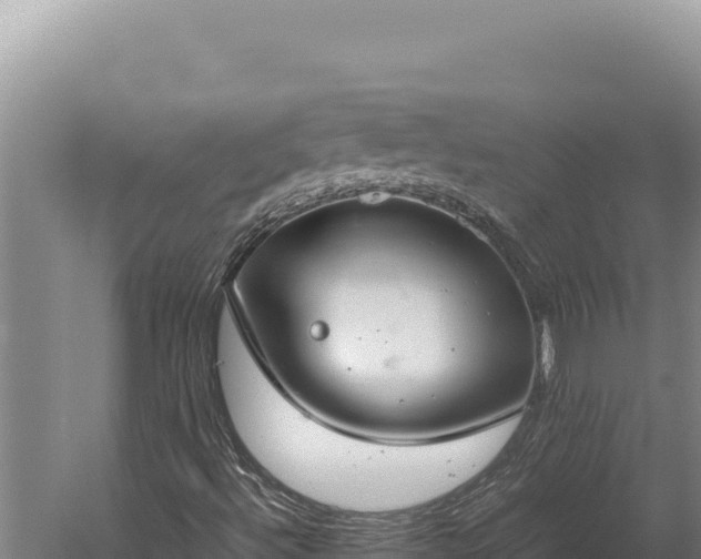 X0000059801492200510281625