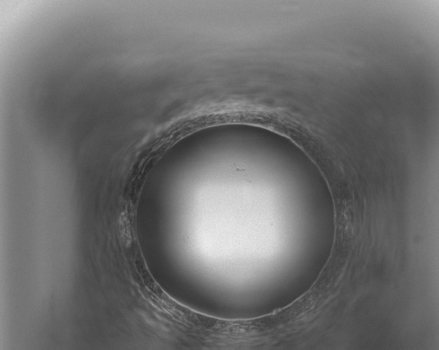 X0000059801493200510281625