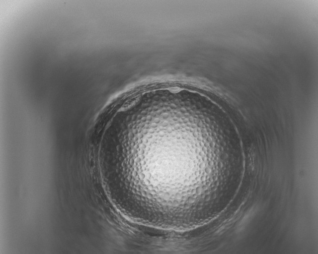 X0000059801494200510281625