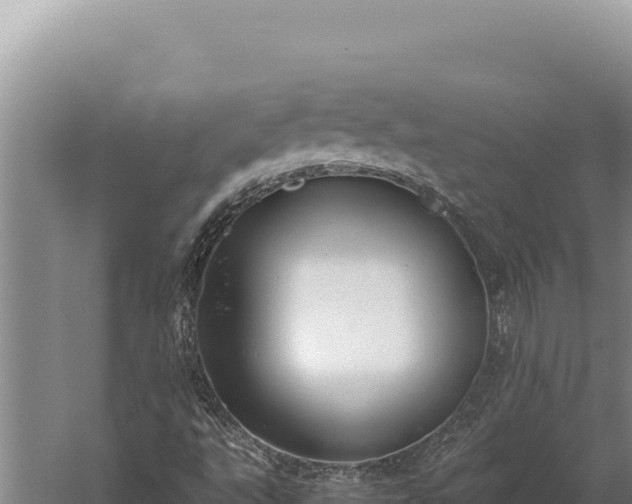 X0000059801495200510281625