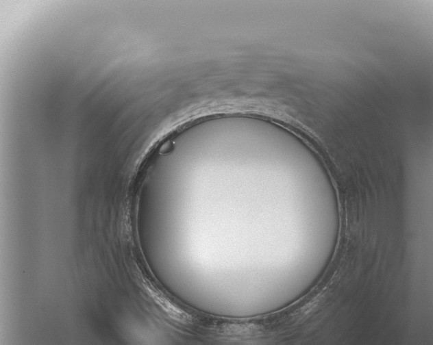 X0000059801498200510281625