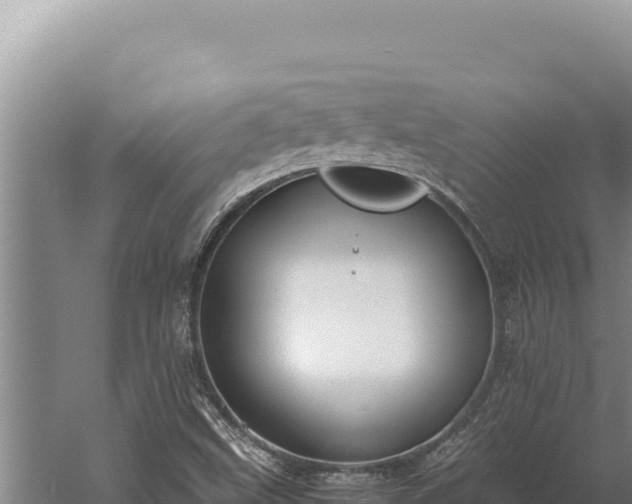 X0000059801499200510281625