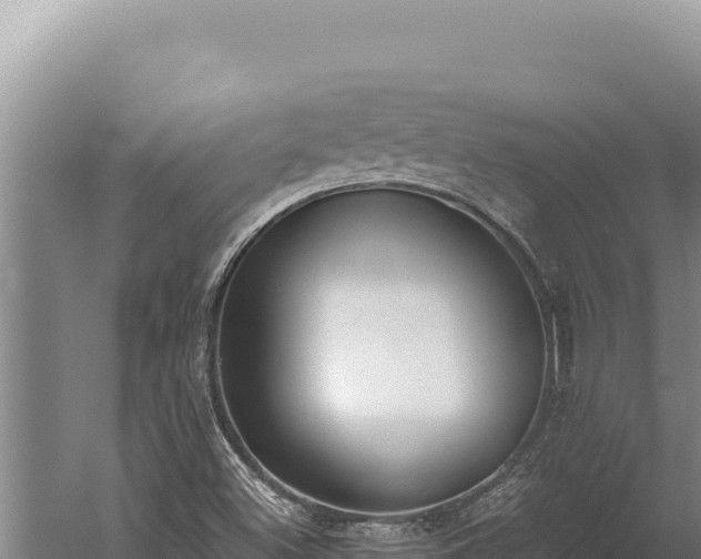 X0000059801500200510281625