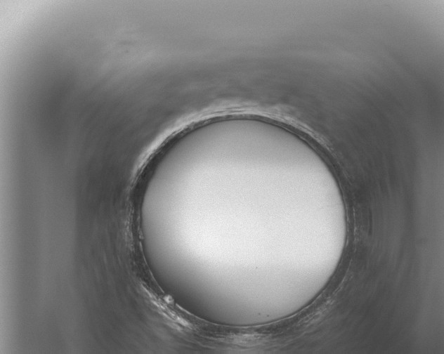 X0000059801502200510281625