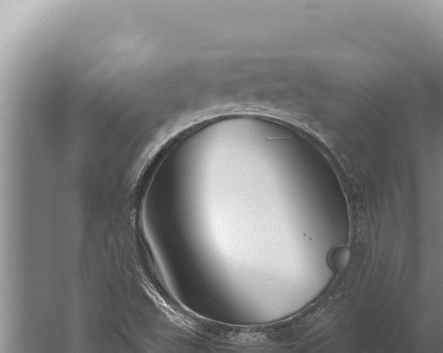 X0000059801503200510281625