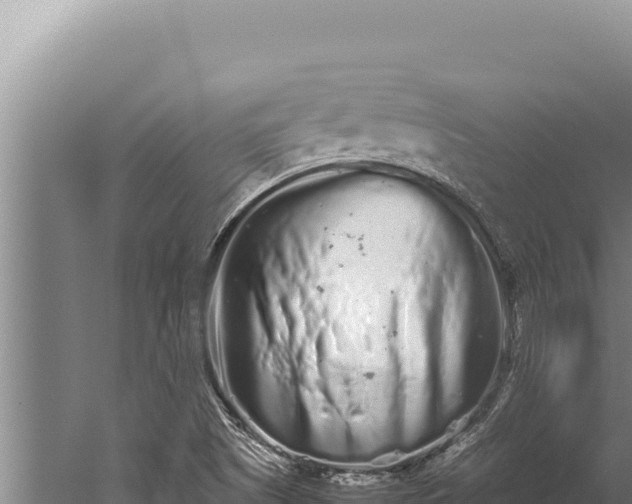 X0000059801505200510281625