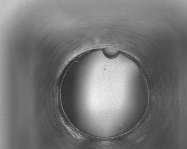 X0000059801507200510281625