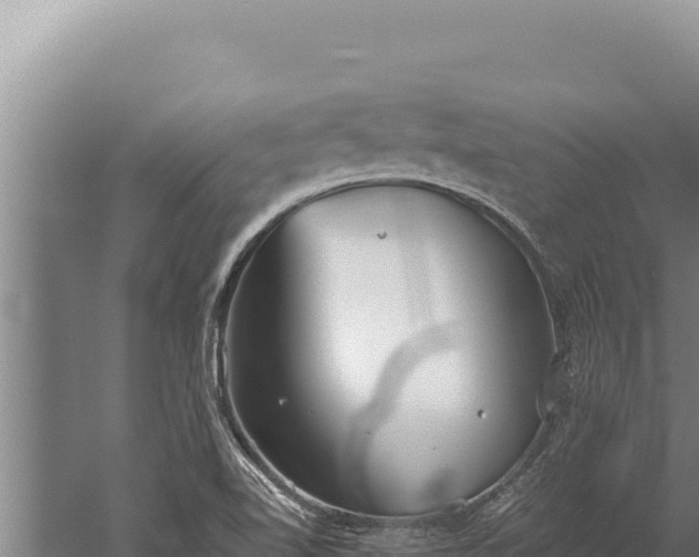 X0000059801510200510281625