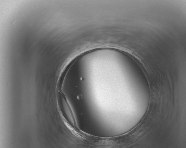 X0000059801511200510281625