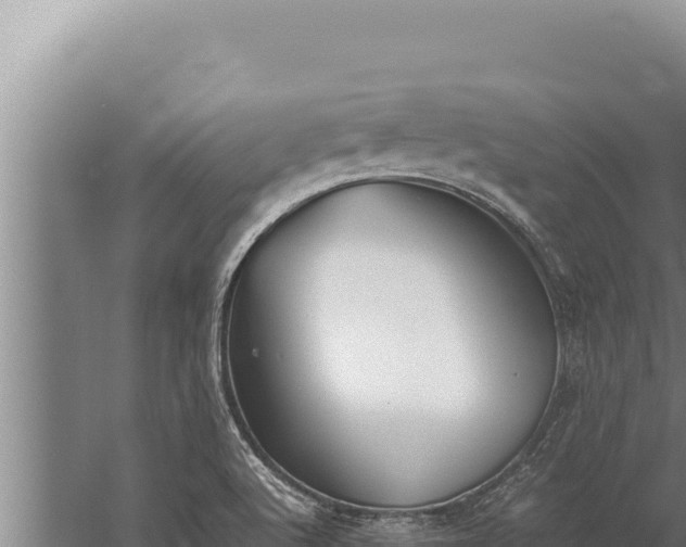 X0000059801512200510281625