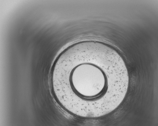 X0000059801514200510281625