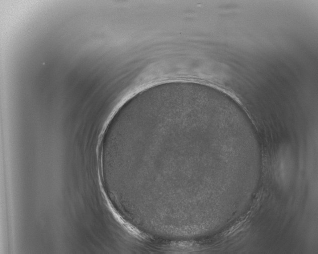 X0000059801515200510281625