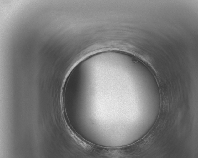 X0000059801516200510281625