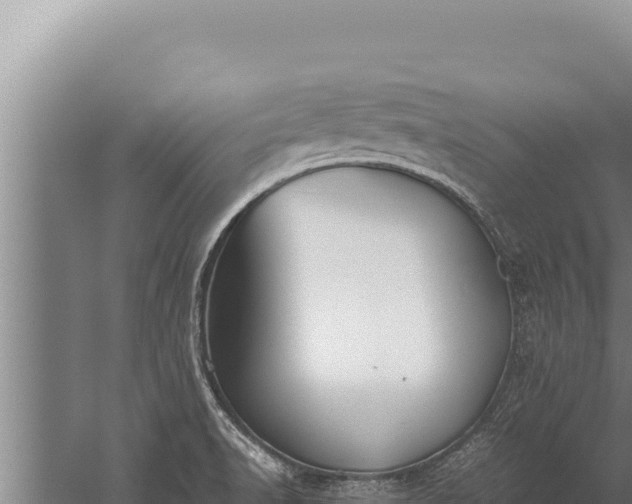 X0000059801518200510281625