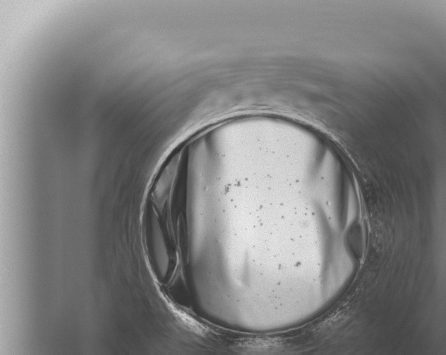 X0000059801519200510281625