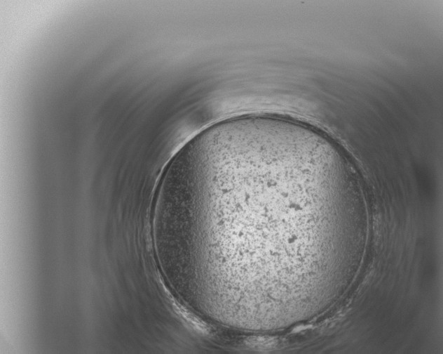 X0000059801521200510281625