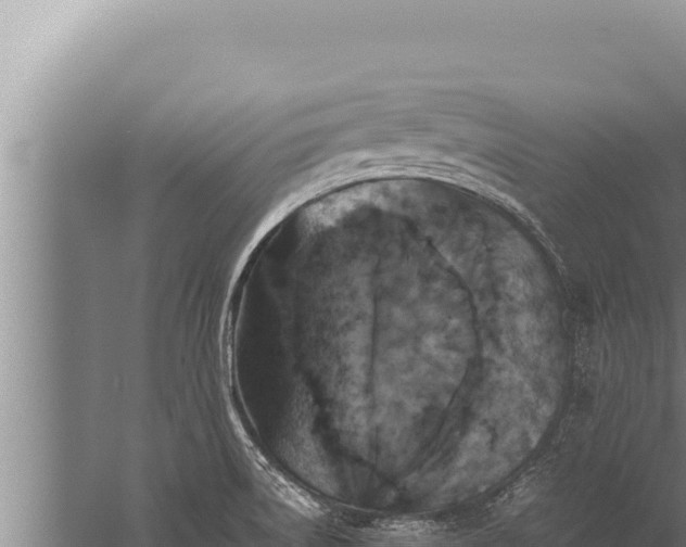 X0000059801522200510281625