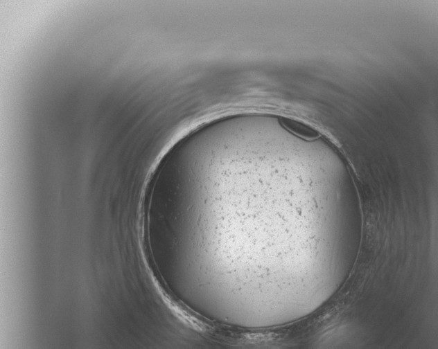 X0000059801523200510281625