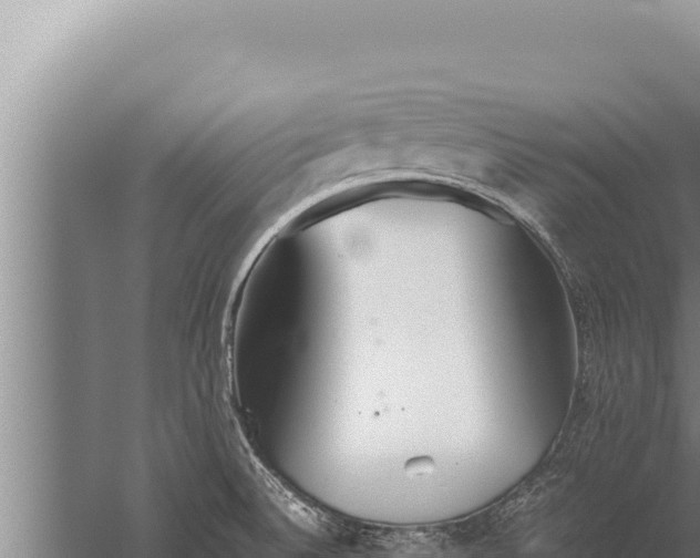 X0000059801524200510281625